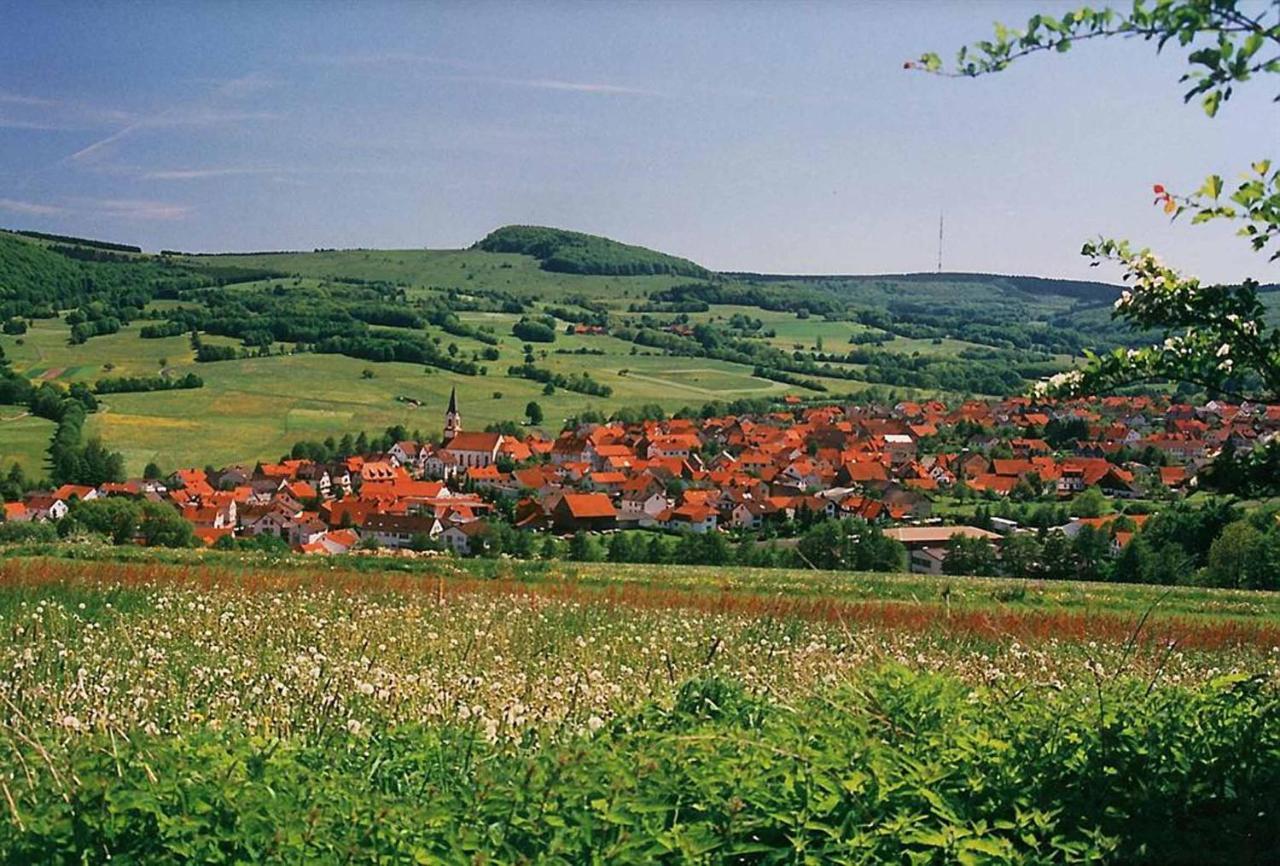 Rhoener Landhotel Haus Zur Wasserkuppe Ehrenberg  Exteriör bild