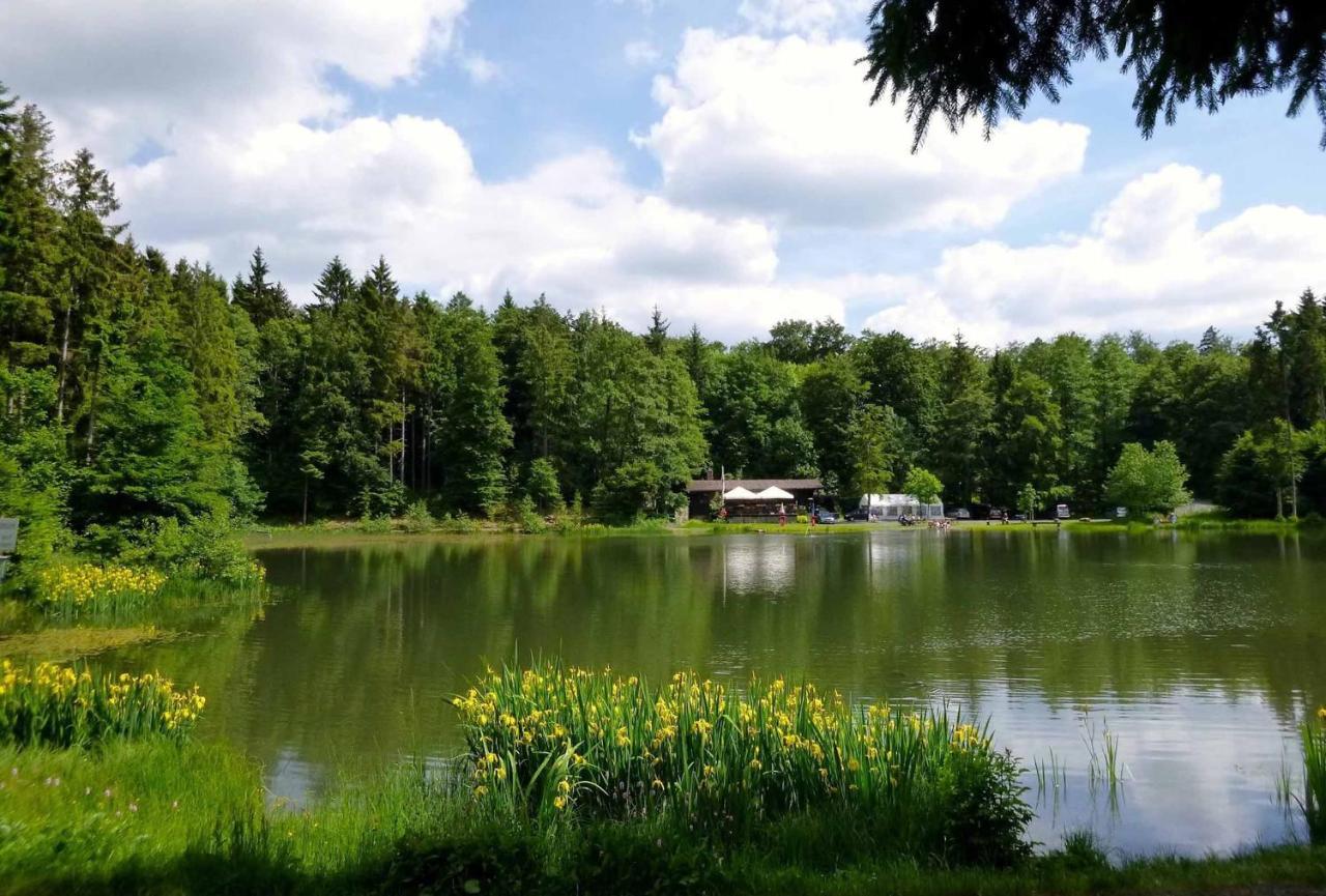 Rhoener Landhotel Haus Zur Wasserkuppe Ehrenberg  Exteriör bild